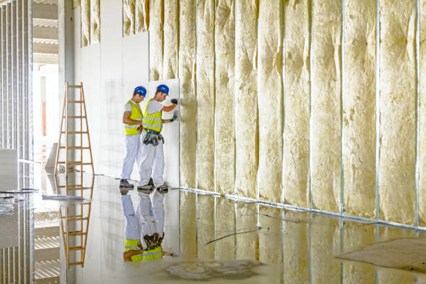 Best Insulation for Specific Applications in Carnegie, PA